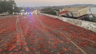 Tomato truck crash