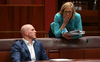 david pocock climate