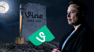 Vine