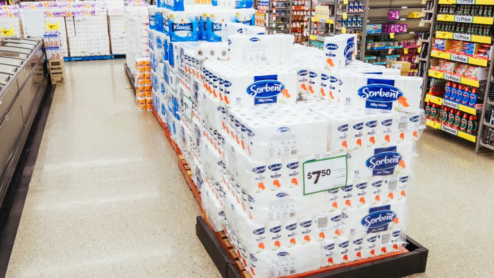 Pictured is Sorbent toilet paper