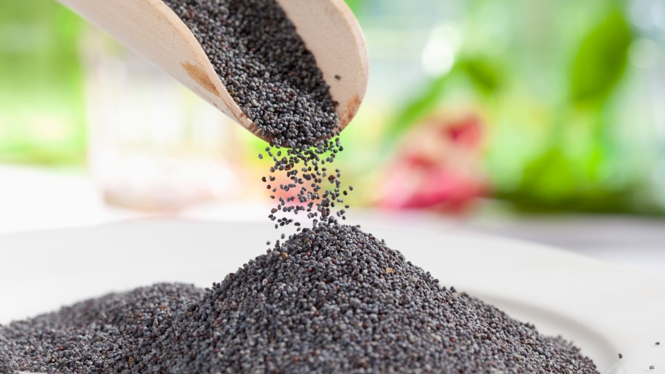 Poppy seed recall