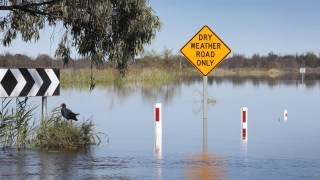 SA Murray flooding