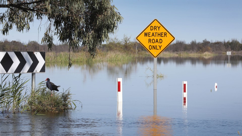 SA Murray flooding