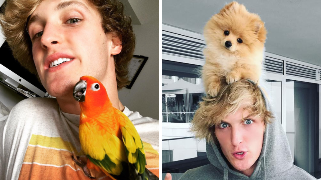 Logan Paul