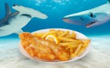 fish and chips sharks