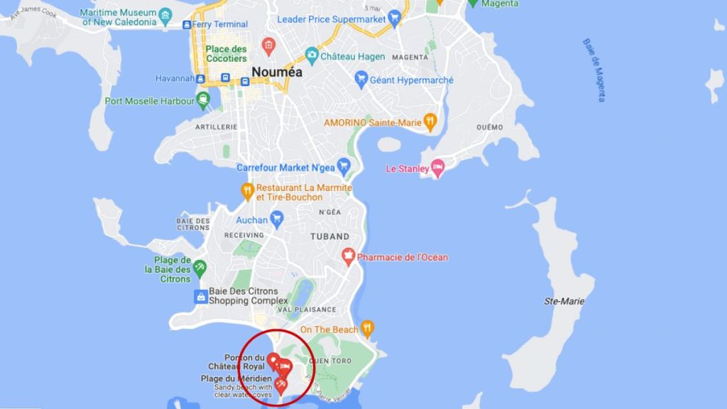 australia shark attack