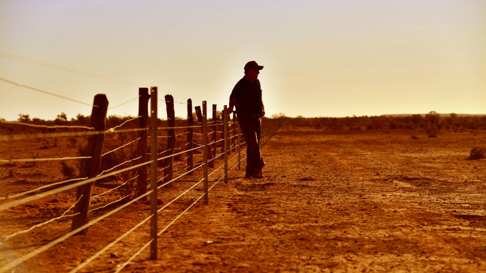 El Nino Labor greenwashing