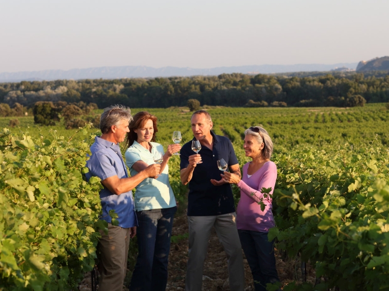 Couples wine tasting in a vineyard in Châteauneuf-du-Pape, France.