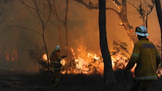 NSW bushfire