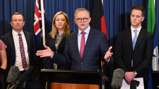 health budget albanese