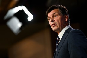 Angus Taylor