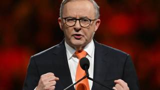 albanese cost of living voice ukraine