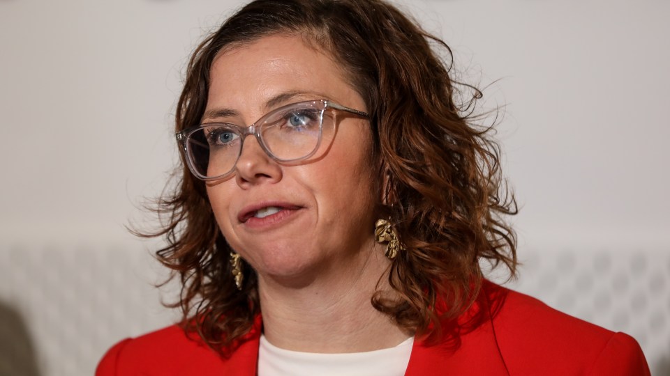 Amanda Rishworth domestic violence