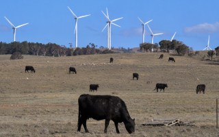 qld renewable zones
