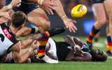 concussion AFL