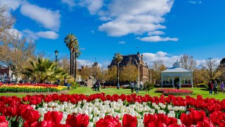 Bendigo Bloom