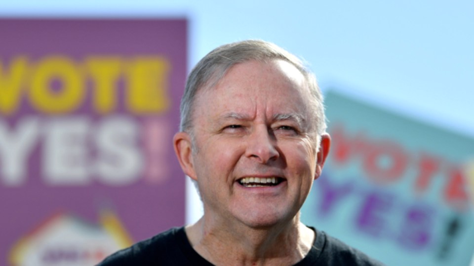 indigenous voice referendum