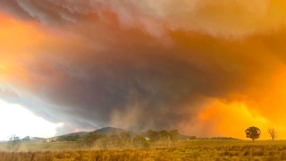 gippsland fires