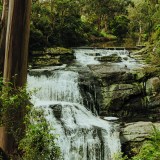 Agnes Falls waterfalls