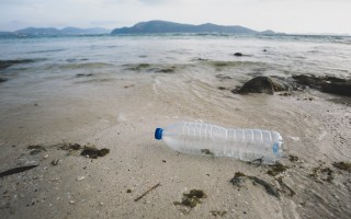 Plastic bottles on beach.