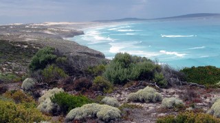 Eyre Peninsula