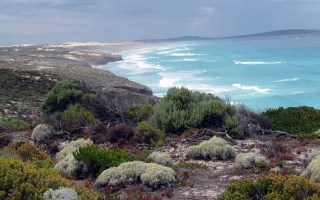Eyre Peninsula